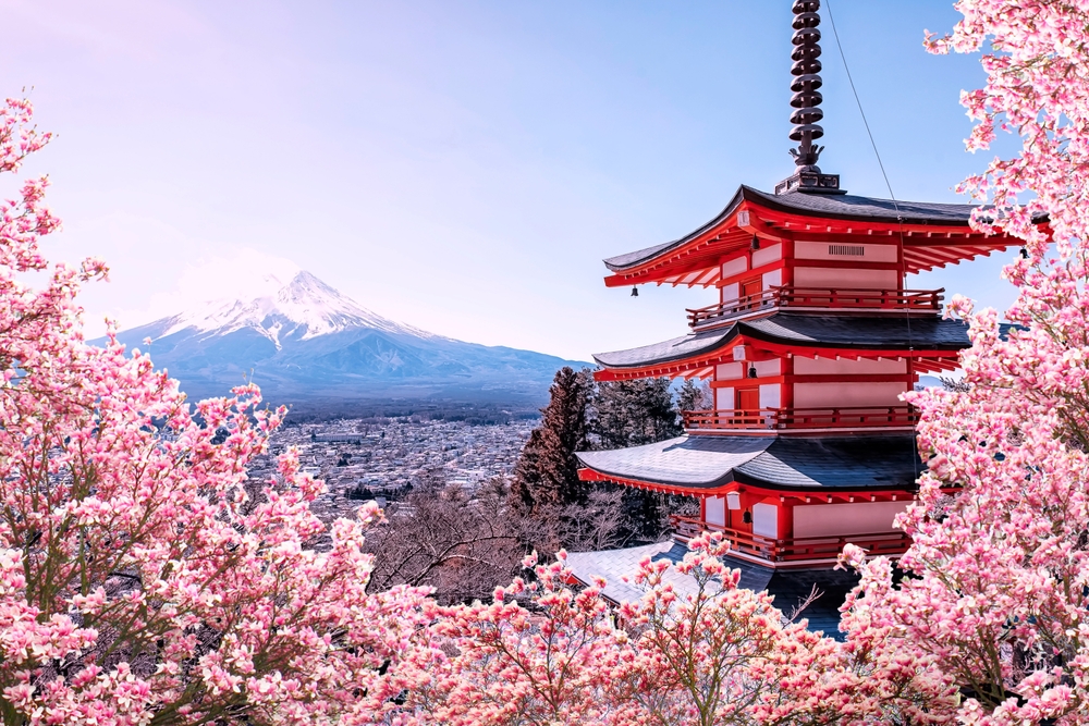 日本东京赏樱.jpg